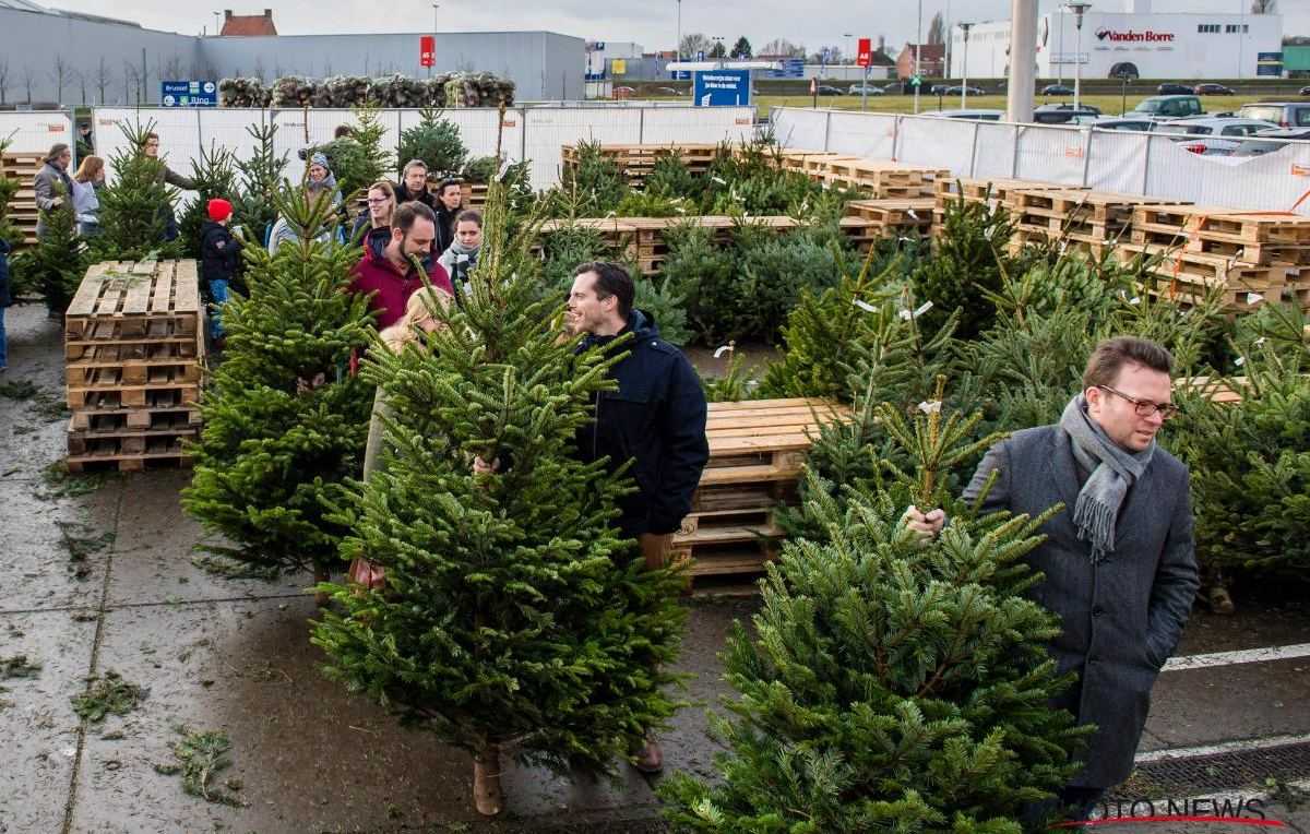 Gratis af te halen Tuincentrum geeft 3.000 kerstbomen weg Redactie24